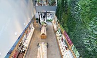 Store-Based Living Plant Walls Image 3