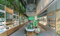 Store-Based Living Plant Walls Image 4