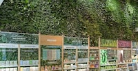Store-Based Living Plant Walls Image 5