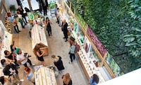 Store-Based Living Plant Walls Image 6