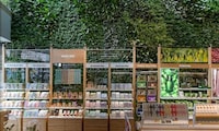 Store-Based Living Plant Walls Image 7