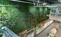Store-Based Living Plant Walls Image 8