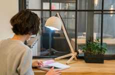 Fungal DIY Lamp Kits