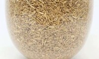 Fungal DIY Lamp Kits Image 4