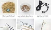 Fungal DIY Lamp Kits Image 6