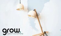Fungal DIY Lamp Kits Image 7