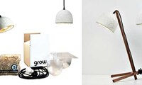 Fungal DIY Lamp Kits Image 8