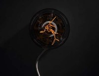 Ecological Reminder Light Bulbs Image 2
