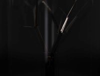 Ecological Reminder Light Bulbs Image 3
