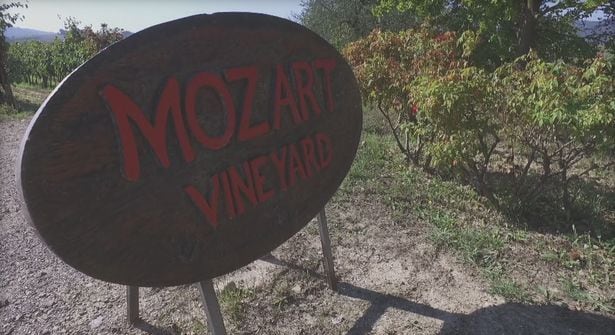 Sonically Enhanced Wines