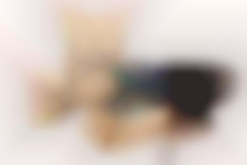 Top 100 Pet Products in 2017