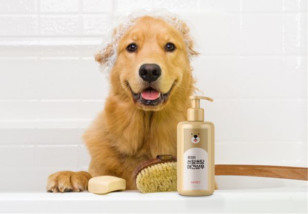 24 Pet Odor Removal Products