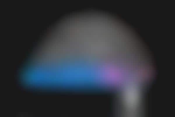 Autonomous Vehicle Art Exhibits