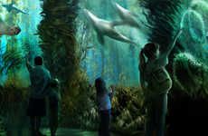 Fishless Aquarium Attractions