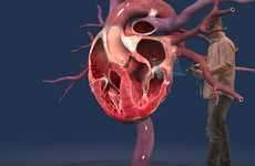 Patient Education VR Programs