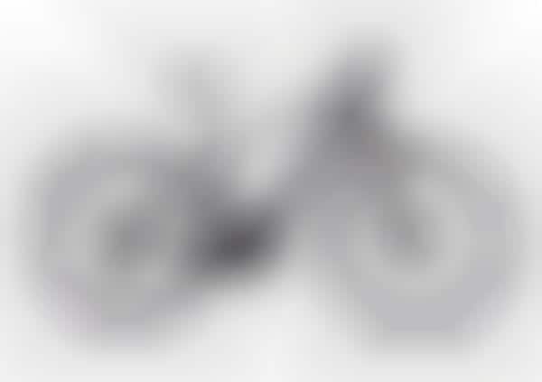 Vehicle Brand eBikes