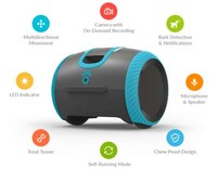 Interactive Canine Robots Image 3