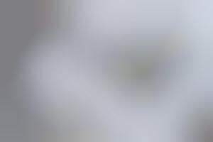 Triangular Shipping Container Cafes : triangular sky cafe