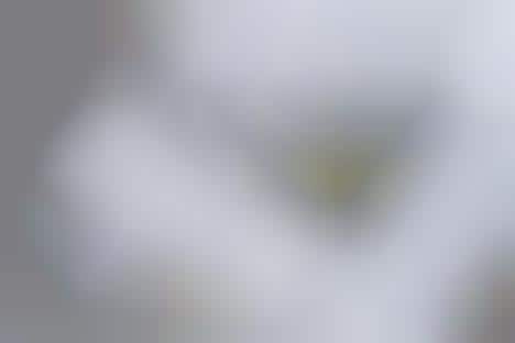 Triangular Shipping Container Cafes : triangular sky cafe