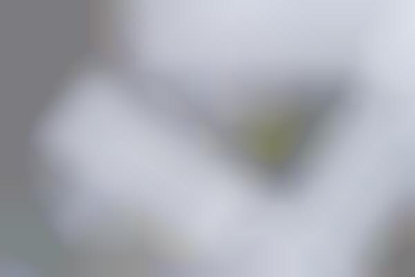 Triangular Shipping Container Cafes : triangular sky cafe