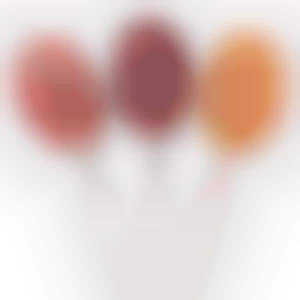 Probiotic Sugar-Free Lollipops