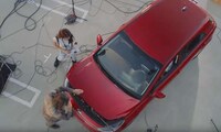 Musical Car Campaigns Image 8