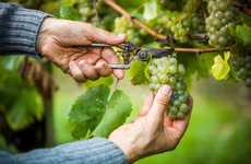 Charitable Wine Tours