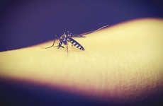 Mosquito-Repelling Smartphones