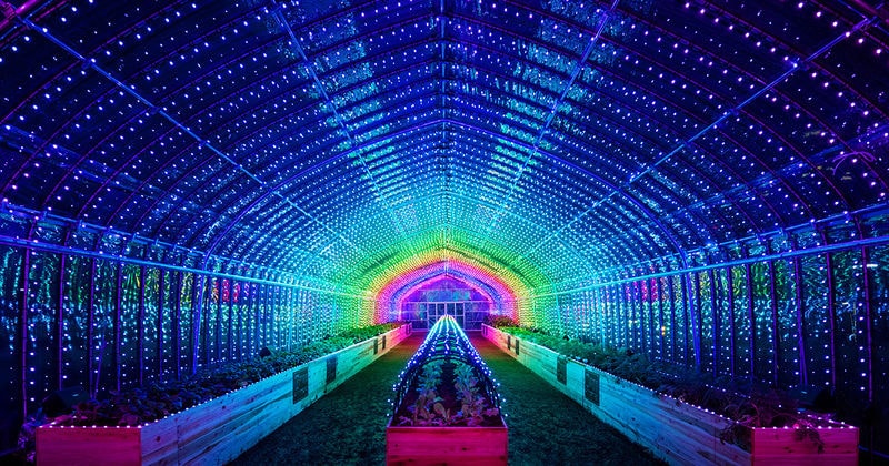 Digital Greenhouse Installations