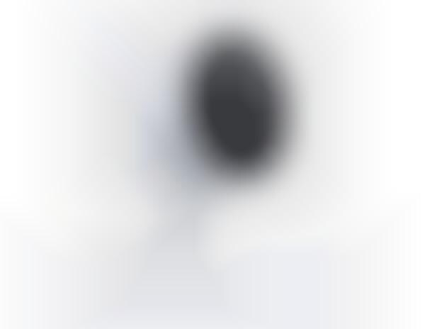 eCommerce Voice Assistant Cameras