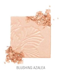 Affordable Vegan Highlighters Image 3