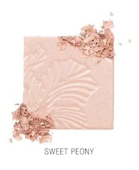 Affordable Vegan Highlighters Image 6