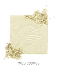 Affordable Vegan Highlighters Image 7