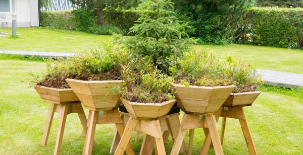 Top 65 Eco Ideas in November