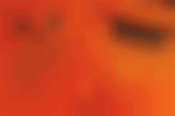 Designer Halloween Sweater Giveaways
