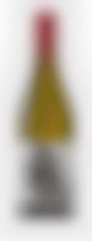 Representative Wine Fonts