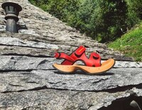 Sturdy Wooden Footwear Image 3