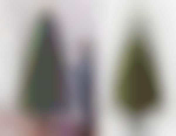 Expanding Holiday Trees
