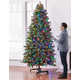 Expanding Holiday Trees Image 2