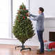 Expanding Holiday Trees Image 3