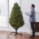 Expanding Holiday Trees Image 4