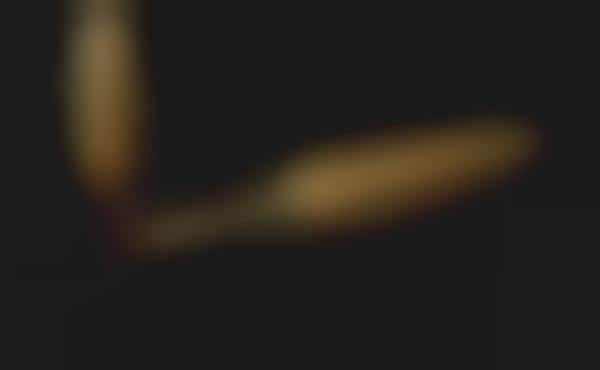 Solid Gold Printed Pens