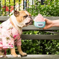 Social Media-Inspired Dog Toys Image 6