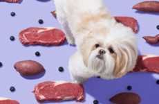 Healthy Customizable Dog Dishes