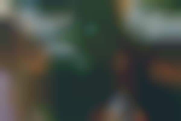Empowering Women-Only Networking Apps