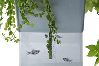 Apartment Garden Aquariums Image 2