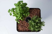 Apartment Garden Aquariums Image 3