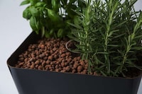 Apartment Garden Aquariums Image 4