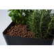 Apartment Garden Aquariums Image 4