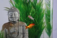 Apartment Garden Aquariums Image 5